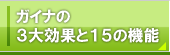 ガイナ(GAINA)の3大効果と15の機能