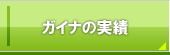 ガイナ(GAINA)の実績