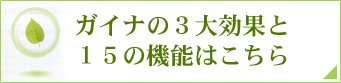 ガイナの3大効果と15の機能はこちら